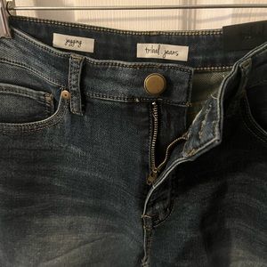 Tribal jeans jeggings ‘favorite’ size 6 NWT